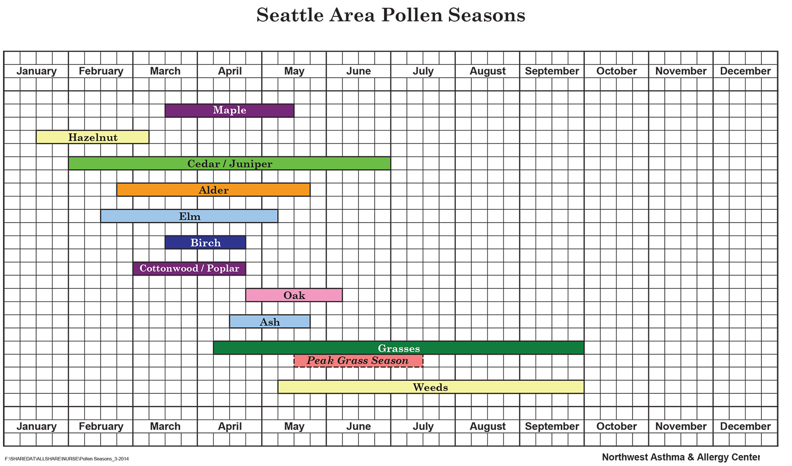 Pollen Seasons Seattle