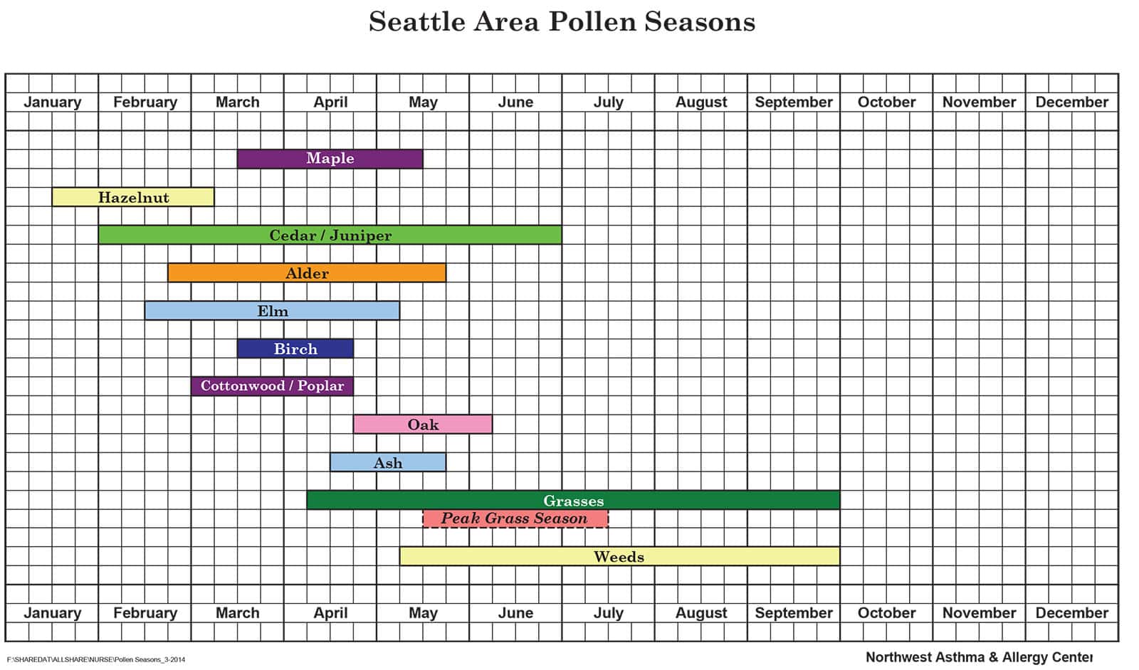 Allergy Chart For Today